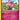 Aromatisse - 93/146 (XY Base Set)/146 Deck Exclusives - Rare