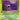 Grimer 048/62 - 1st Edition Fossil - Common
