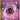 Basic Psychic Energy (210/165) - SV2a Pokemon Card 151 Holofoil