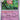 Scarlet & Violet Base Set: 093/198 Florges Reverse Holo