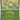Budew (Friend Ball) 016/217 - Reverse Holofoil ME Ascended Heroes - Common