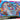 Pokemon TCG: Mega Greninja ex Premium Collection