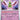 Paldean Fates: 026/091 Xatu Reverse Holo