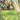 Chaos Rising: 003/086 Beedrill ex Holo