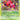 Ariados/123 Mysterious Treasures - Rare