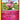 Aromatisse 093/146 - Holofoil XY Base Set - Holo Rare