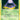 Grimer 057/97 EX Dragon - Common