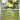 Ascended Heroes: 055/217 Pikachu (Friend Ball) Reverse Holo