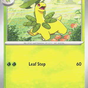 Ascended Heroes: 009/217 Bayleef