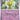 Paldean Fates: 025/091 Natu Reverse Holo
