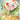 Ascended Heroes: 225/217 Scorbunny Holo