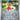 Scarlet & Violet Base Set: 198/198 Youngster Reverse Holo