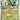 Shrouded Fable: 045/064 Fraxure Reverse Holo