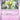 Paldean Fates: 025/091 Natu