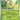 Prismatic Evolutions: 005/131 Leafeon Reverse Holo