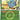 Ascended Heroes: 007/217 Erika's Tangela (Energy Symbol Pattern) Reverse Holo