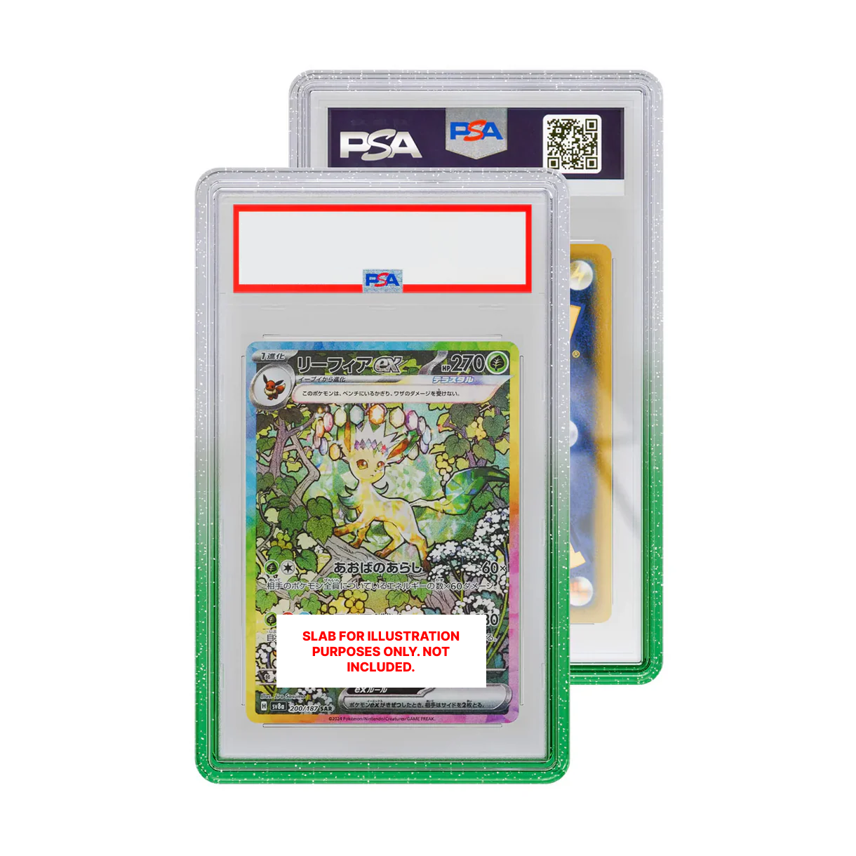 GradedGuard Melon Case (PSA) The Trainer Court GradedGuard Melon Case (PSA) The Trainer Court