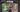 All The Secret Rares From Black Bolt (JP)
