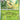 Twilight Masquerade: 011/167 Leafeon Reverse Holo