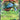 Venusaur EX 001/83  - Holofoil Generations - Ultra Rare