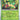 Paradox Rift: 004/182 Pansage Reverse Holo