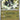 Perfect Order: 028/088 Luxray Reverse Holo