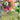 Ascended Heroes: 010/217 Mega Meganium ex Holo