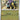 Mega Evolution: 048/132 Raikou Reverse Holo
