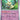 Paldean Fates: 037/091 Mimikyu Reverse Holo