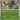 Chaos Rising: 007/086 Chesnaught Reverse Holo