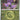 Ascended Heroes: 156/217 Noibat (Energy Symbol Pattern) Reverse Holo