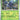 Paldea Evolved: 006/193 Heracross Reverse Holo