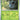 Paldean Fates: 001/091 Pineco Reverse Holo