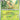 Leafeon (Master Ball Pattern) 005  - Holofoil SV Prismatic Evolutions - Rare