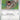 Zigzagoon 081  - Reverse Holofoil ME02 Phantasmal Flames - Common