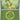 Bayleef (Energy Symbol Pattern) 009  - Reverse Holofoil ME Ascended Heroes - Uncommon