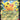 30th Celebration: 053/128 Pikachu ex