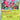 Vivillon 009  - Reverse Holofoil ME03 Perfect Order - Uncommon