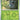 Paldea Evolved: 004/193 Pineco Reverse Holo