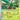 Tropius 005/128  - Holofoil ME 30th Celebration - Common