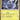Black Bolt: 033/086 Thundurus Holo