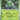 White Flare: 010/086 Virizion Reverse Holo
