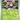 Surging Sparks: 002/191 Exeggcute Reverse Holo