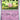 Obsidian Flames: 081/197 Clefairy Reverse Holo