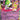 Mega Evolution: 060/132 Mega Gardevoir ex Holo