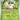 Scarlet & Violet Base Set: 009/198 Spewpa Reverse Holo