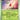 Temporal Forces: 013/162 Shaymin Reverse Holo