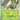 Temporal Forces: 007/162 Breloom Reverse Holo