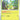 Temporal Forces: 010/162 Turtwig