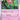 Scarlet & Violet Base Set: 093/198 Florges